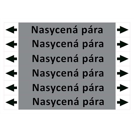 Značení potrubí ISO 20560, nasycená pára